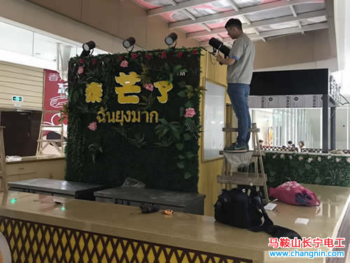 泰芒了馬鞍山總代理金鷹店線路安裝